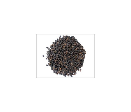 SPICEGARDEN BLACK PEPPER 350G