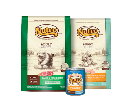 NUTRO PLAN DOG'S FOOD