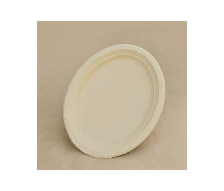 DISPOSABLE PLATE LARGE