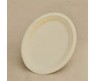 DISPOSABLE PLATE LARGE
