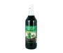 MENTHE BARDINET SYRUP 1L