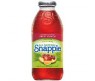 SNAPPLE FRUIT PUNCH 591ML