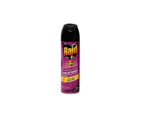 RAID INSECTICIDE SPRAY 300ML