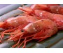 WAVESTORM SHRIMPS 500G