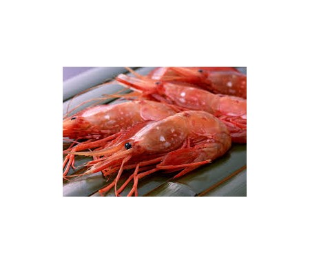 WAVESTORM SHRIMPS 500G