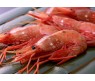 WAVESTORM SHRIMPS 500G