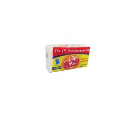 B29 MULTI-PURPOSE SOAP