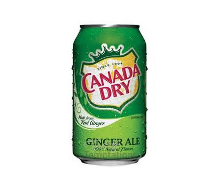 CANADA DRY GINGER ALE 500ML X12
